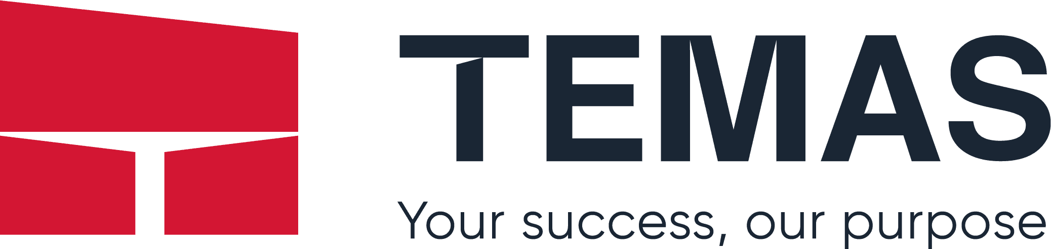 Temas Engineering JSC logo