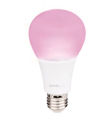 Bóng LED xông thanh long 6W
