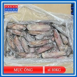 Mực ống nguyên con